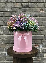 Цветочная композиция из Гипсофила и Розы в шляпной коробке в Новый Рогачик