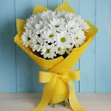 Букет цветов из:  Хризантемы в Новый Рогачик