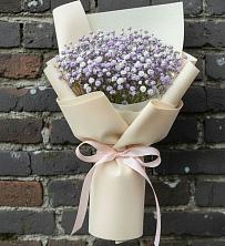 Букет цветов из:  Гипсофила в Новый Рогачик