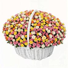 Премиум букет из: Розы в Новый Рогачик