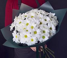 Букет цветов из:  Хризантемы #REPLACE_PRED# Новый Рогачик