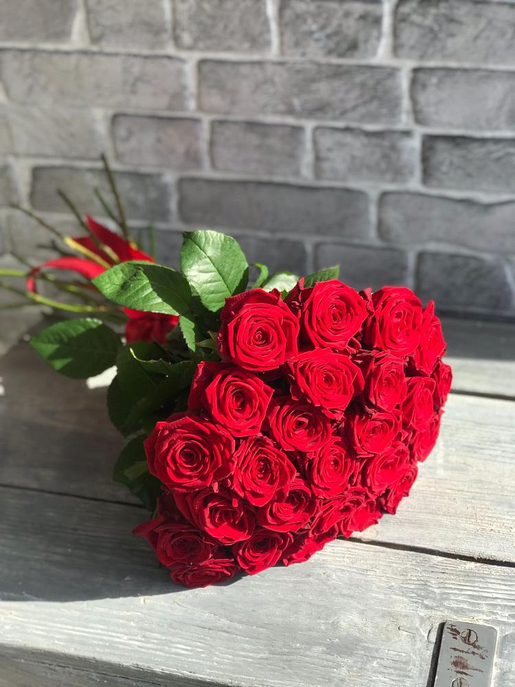 Букет Красные розы Фридом в Новый Рогачик