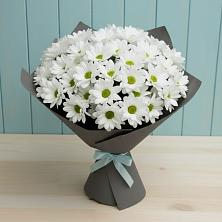 Букет цветов из:  Хризантемы в Новый Рогачик