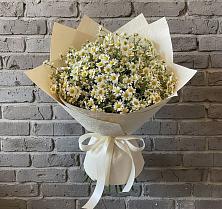 Букет цветов из:  Ромашки #REPLACE_PRED# Новый Рогачик