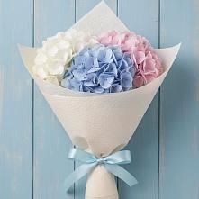 Букет цветов из:  Гортензия в Новый Рогачик