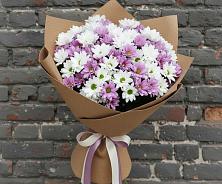 Букет цветов из:  Хризантемы #REPLACE_PRED# Новый Рогачик