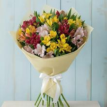 Букет цветов из:  Альстромерии в Новый Рогачик