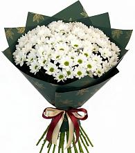 Букет цветов из:  Хризантемы #REPLACE_PRED# Новый Рогачик