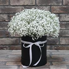 Цветочная композиция из Гипсофила в шляпной коробке в Новый Рогачик