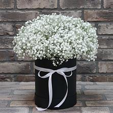 Цветочная композиция из Гипсофила в шляпной коробке в Новый Рогачик