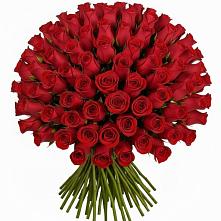 Букет Красные розы Чери Лав #REPLACE_PRED# Новый Рогачик