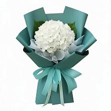 Букет цветов из:  Гортензия #REPLACE_PRED# Новый Рогачик